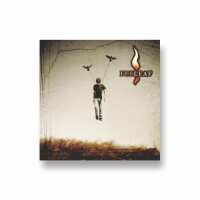 Read Collide Records Reviews